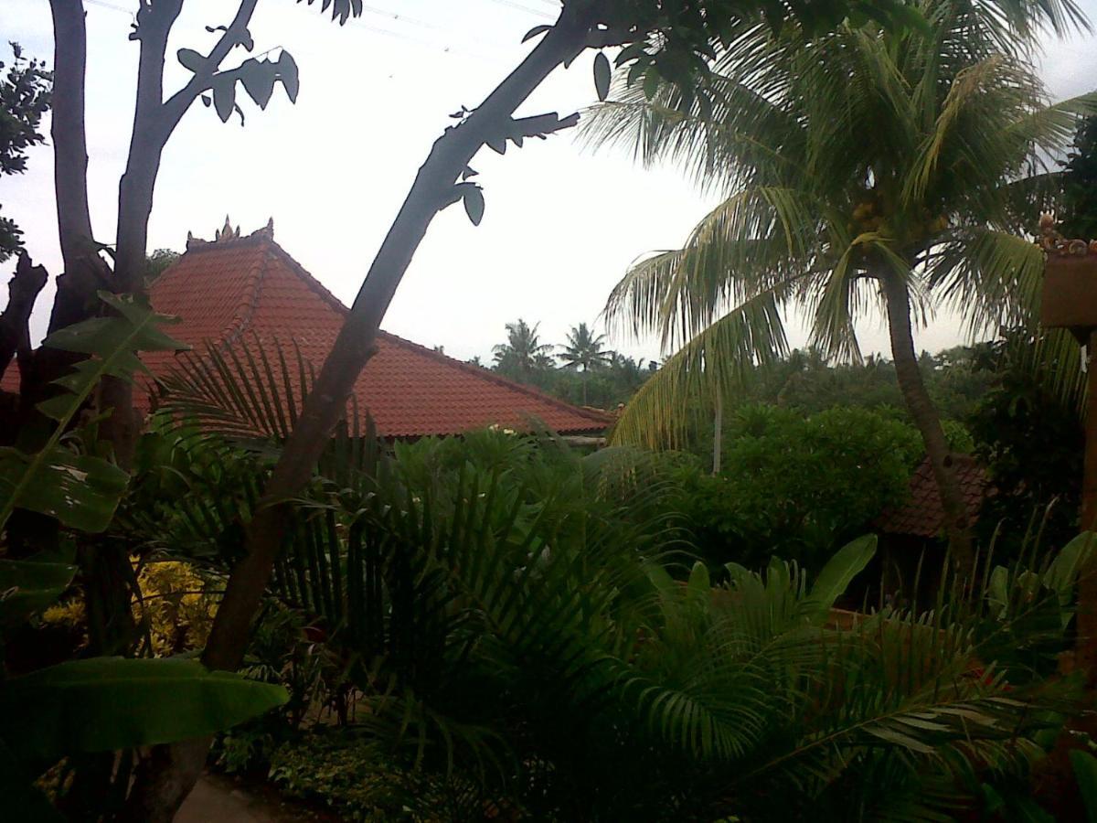 Eliska Sari Bungalows Sumberkima 페무테란 외부 사진