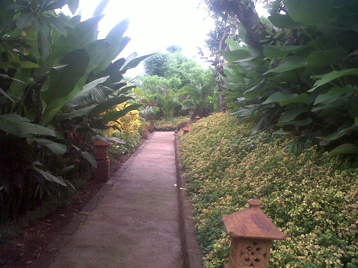Eliska Sari Bungalows Sumberkima 페무테란 외부 사진