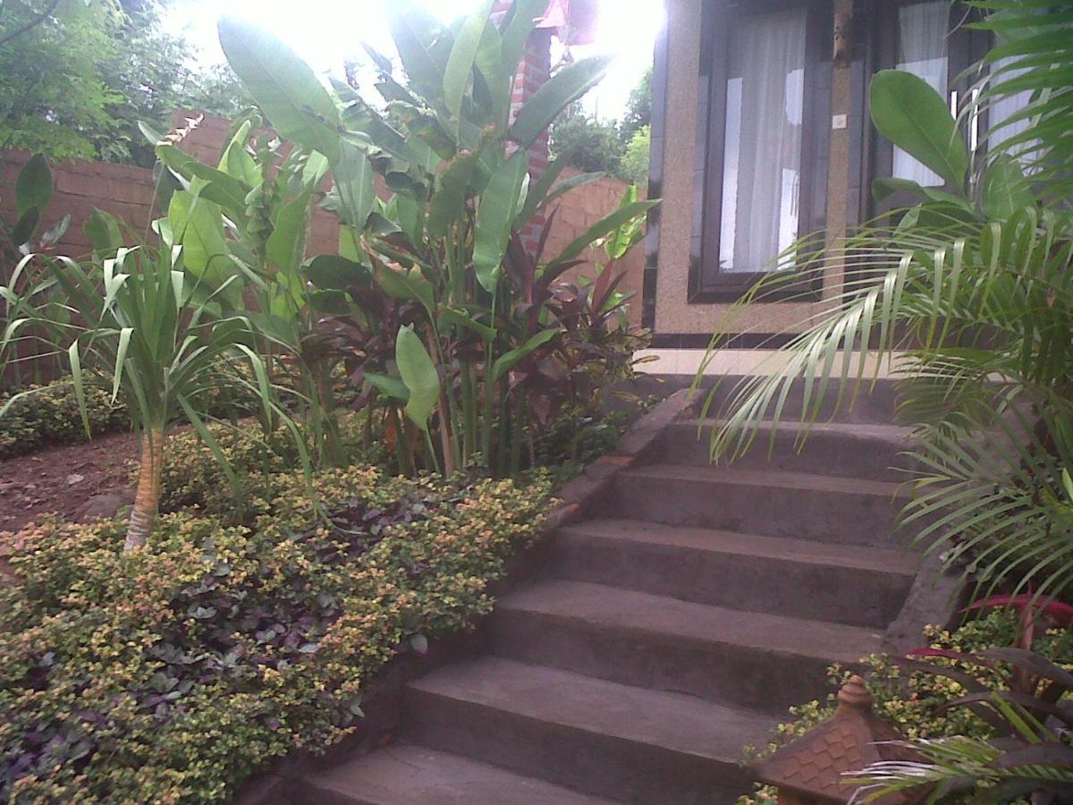 Eliska Sari Bungalows Sumberkima 페무테란 외부 사진