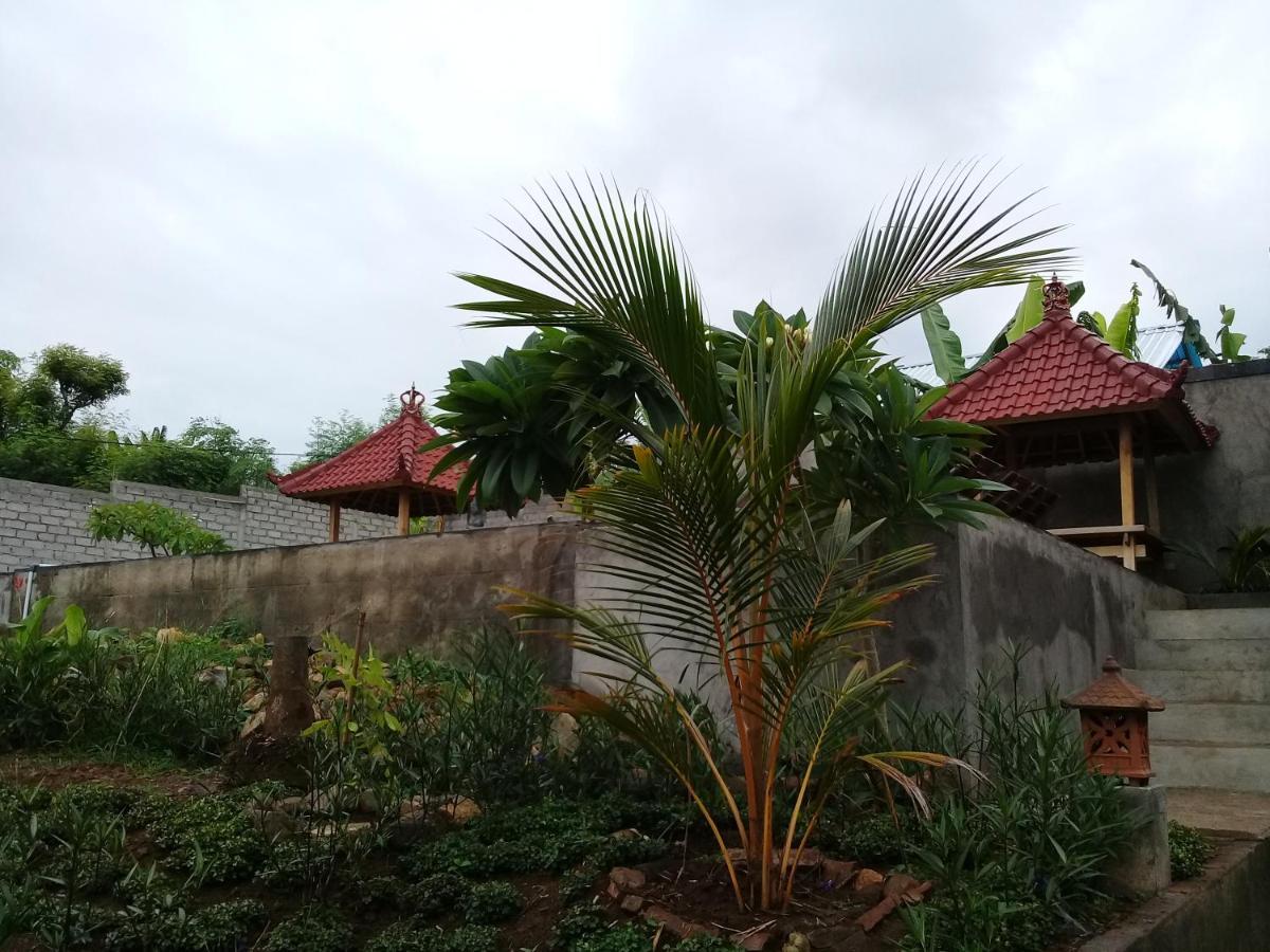 Eliska Sari Bungalows Sumberkima 페무테란 외부 사진
