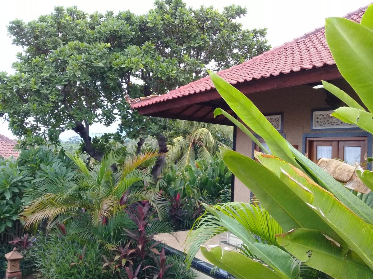 Eliska Sari Bungalows Sumberkima 페무테란 외부 사진