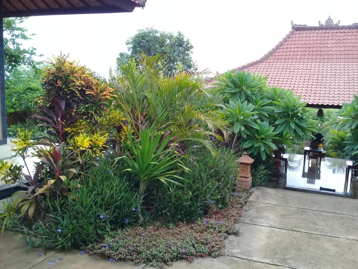 Eliska Sari Bungalows Sumberkima 페무테란 외부 사진