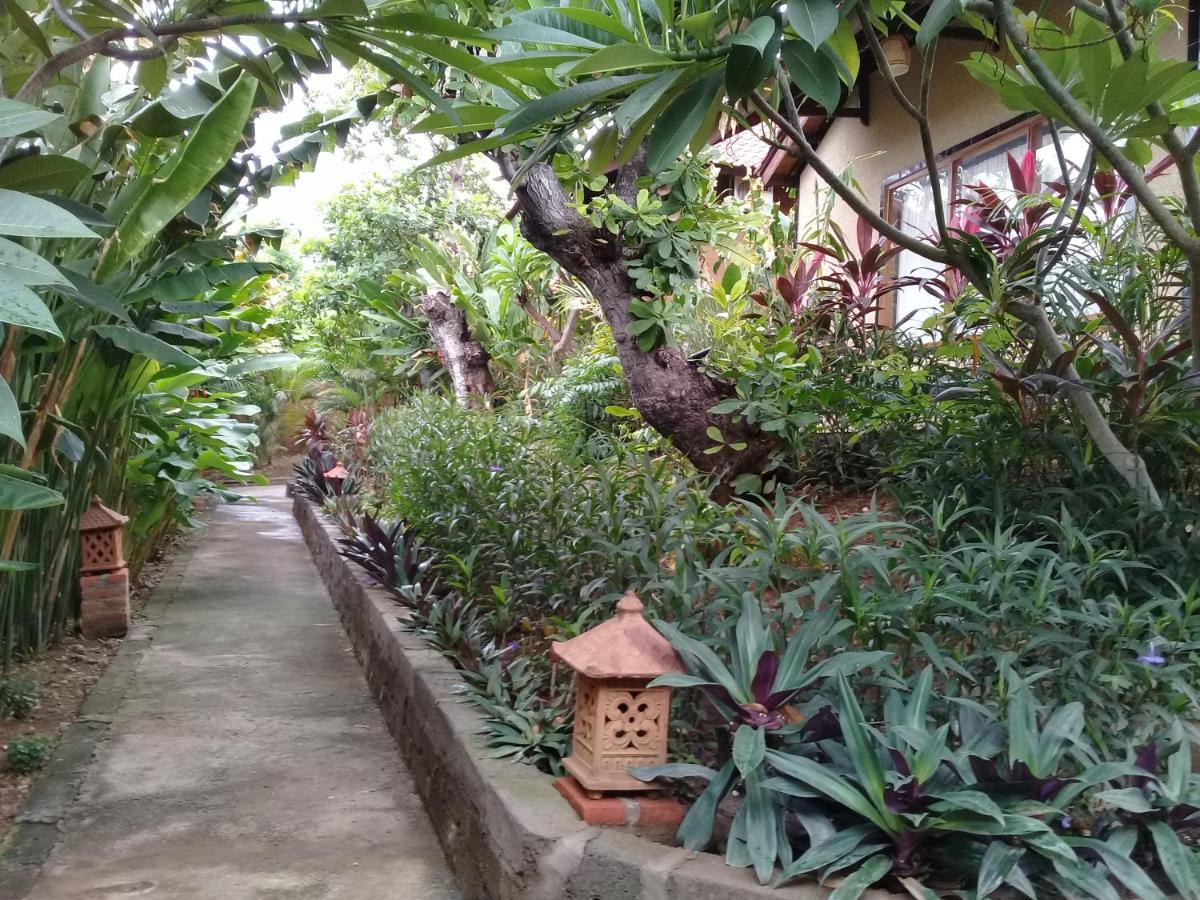 Eliska Sari Bungalows Sumberkima 페무테란 외부 사진