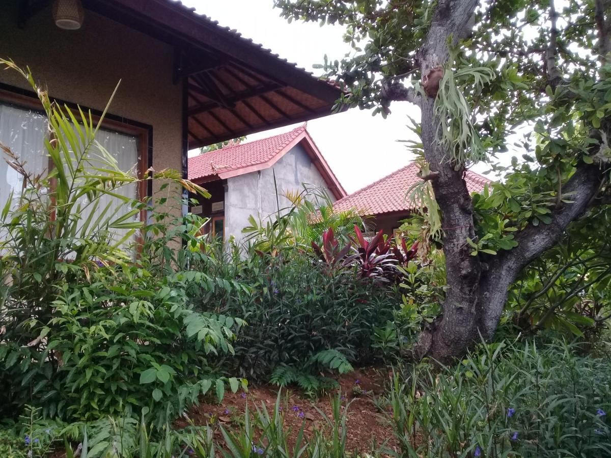 Eliska Sari Bungalows Sumberkima 페무테란 외부 사진