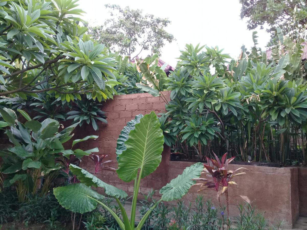 Eliska Sari Bungalows Sumberkima 페무테란 외부 사진