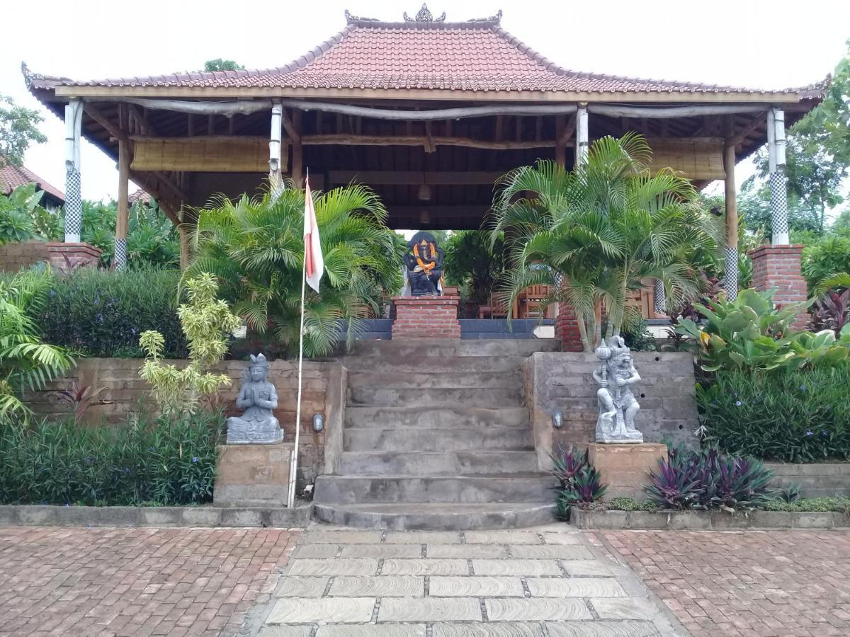 Eliska Sari Bungalows Sumberkima 페무테란 외부 사진